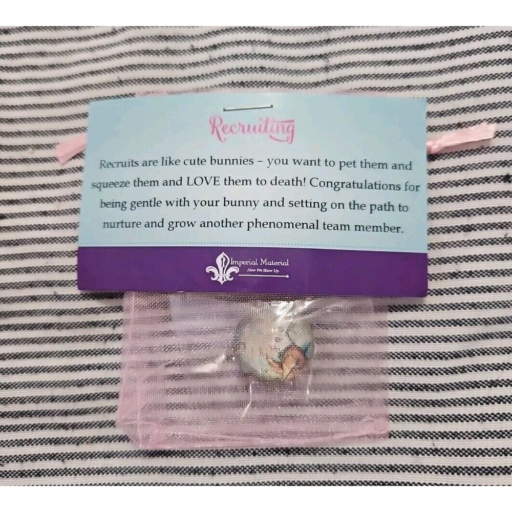Thirty One 31 Consultant Button Pin Recruiting Enamel Bunny Peter Rabbit New